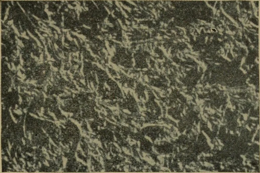 An illustration from Universal design book : containing official list prices of sash, doors and blinds ... official list prices of head, corner and base blocks ... official moulding book ... official list: window glass .., 1908, leaf 364