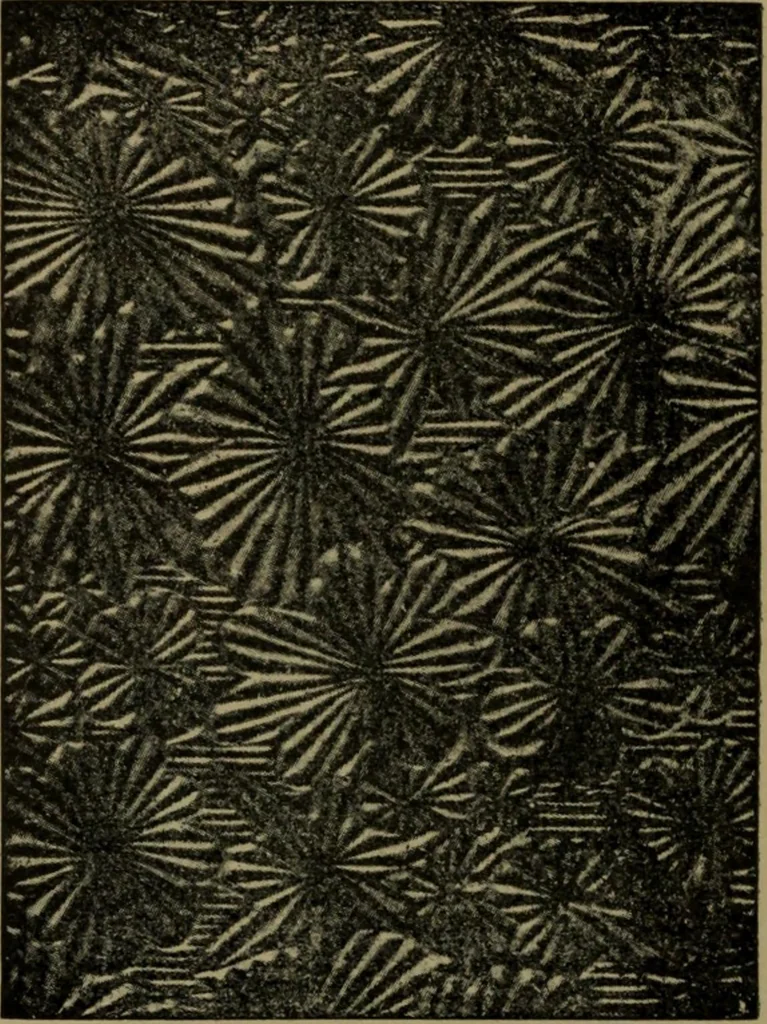An illustration from Universal design book : containing official list prices of sash, doors and blinds ... official list prices of head, corner and base blocks ... official moulding book ... official list: window glass .., 1908, leaf 367