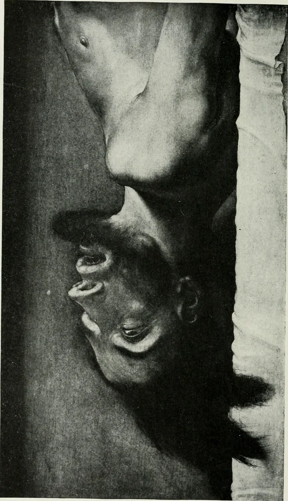 An illustration from The University Prints. Student series D. Art of the Netherlands and Germany; five hundred reproductions illustrating the Flemish, Dutch, and German schools of painting, from the early fifteenth to the eighteenth century; German sculpture from the eleventh to the seventeenth century, 1907, leaf 445