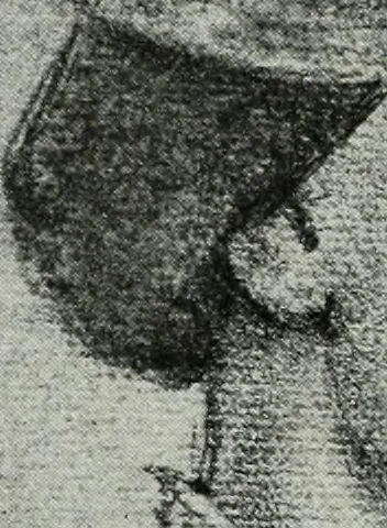 An illustration from The University Prints. Student series D. Art of the Netherlands and Germany; five hundred reproductions illustrating the Flemish, Dutch, and German schools of painting, from the early fifteenth to the eighteenth century; German sculpture from the eleventh to the seventeenth century, 1907, leaf 457