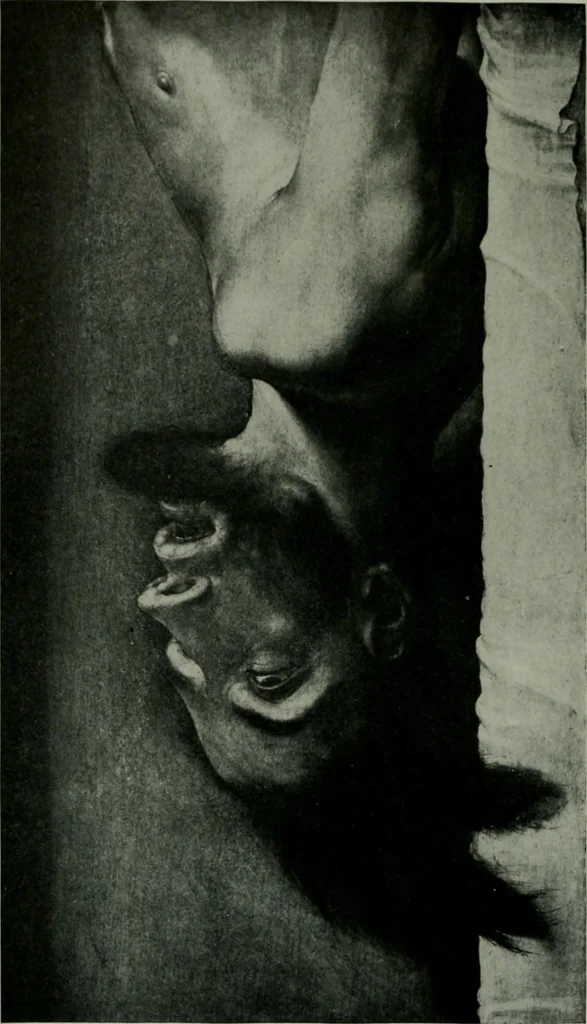 An illustration from The University Prints. Student series D. Art of the Netherlands and Germany; five hundred reproductions illustrating the Flemish, Dutch, and German schools of painting, from the early fifteenth to the eighteenth century; German sculpture from the eleventh to the seventeenth century, 1907, leaf 441
