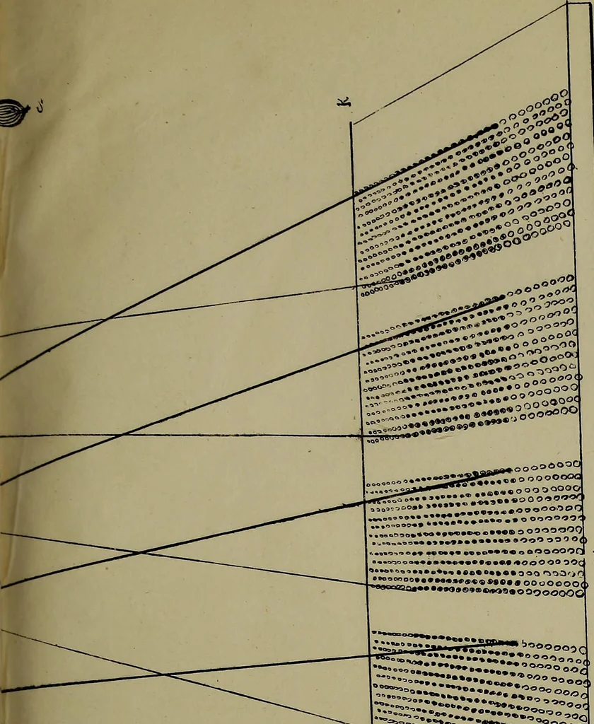 An illustration from [Un metier de fabrique, avec la dénomination des diverses objects nécessaires à la fabrication de l'étoffe, 1835, leaf 212