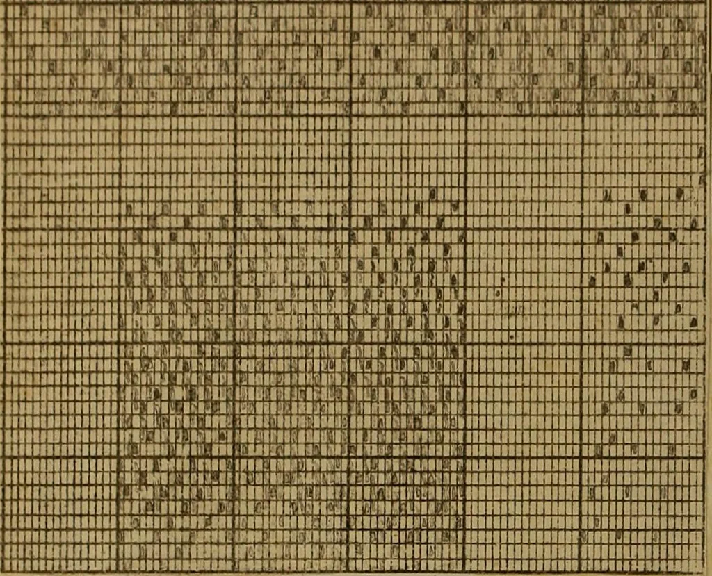 An illustration from [Un metier de fabrique, avec la dénomination des diverses objects nécessaires à la fabrication de l'étoffe, 1835, leaf 229