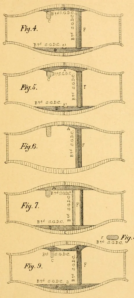 An illustration from Un progrès en lutherie, 1886, leaf 7