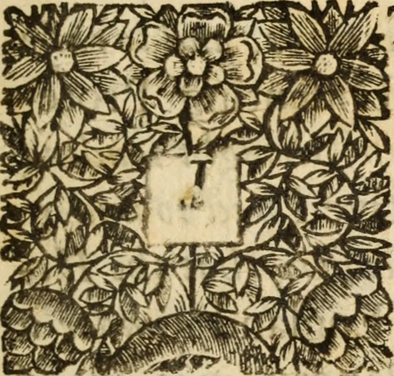 An illustration from The unreasonableness of separation : or, An impartial account of the history, nature, and pleas of the present separaton from the communion of the Church of England to which several letters are annexed ..., 1681, leaf 10