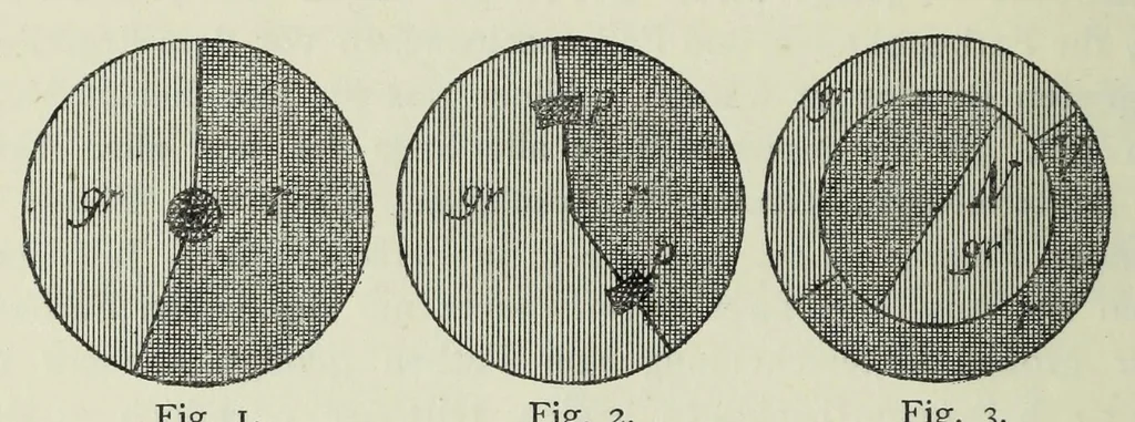 An illustration from Untersuchung über die Farbenunterschiedsempfindung beiSchulkindern. Mit 8 Abb., 4 Tab. u. 10 Kurven im Text, 1914, leaf 10