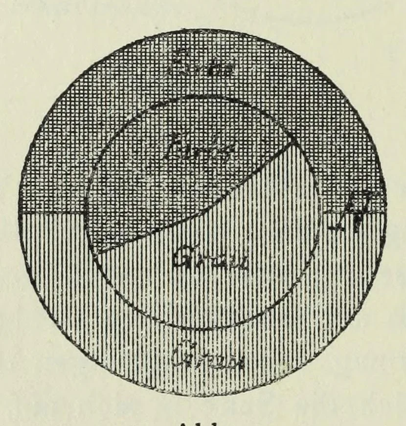 An illustration from Untersuchung über die Farbenunterschiedsempfindung beiSchulkindern. Mit 8 Abb., 4 Tab. u. 10 Kurven im Text, 1914, leaf 12