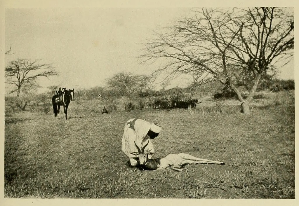 An illustration from Up against it in Nigeria : With 47 illustrations, 1922, leaf 129