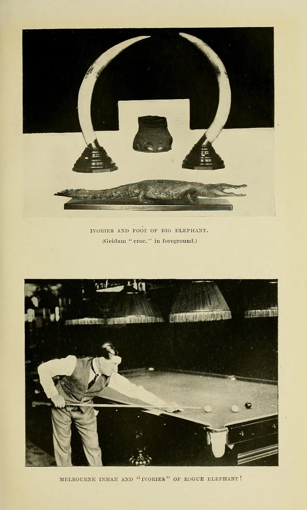An illustration from Up against it in Nigeria : With 47 illustrations, 1922, leaf 167