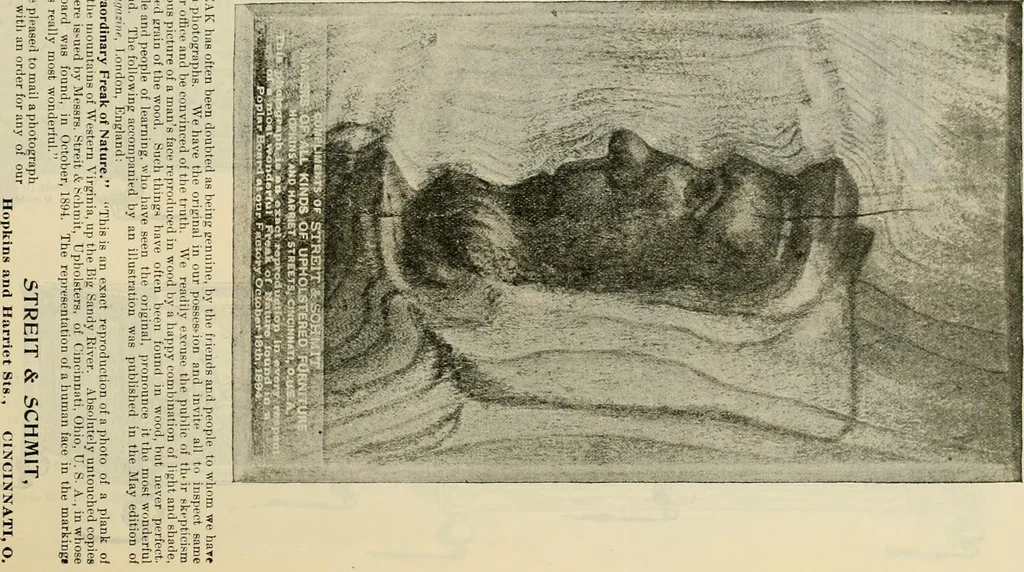 An illustration from Upholstered furniture for the parlor, hall, library, reception room, hotels, stores, club rooms, etc. / Streit and Schmit., 1897, leaf 20