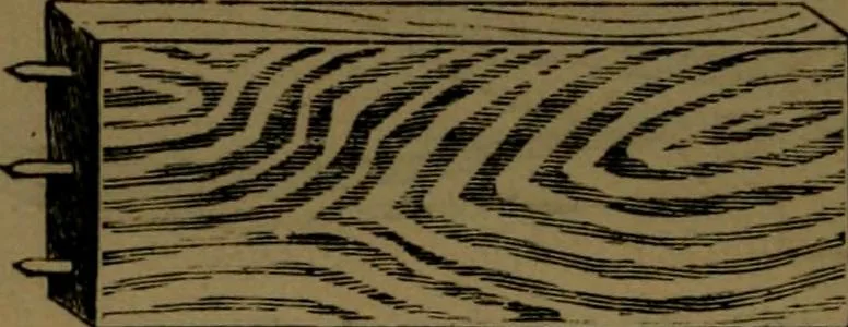 An illustration from Upholstery, with numerous engravings and diagrams;, 1904, leaf 27