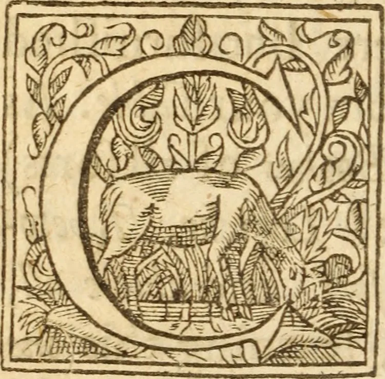 An illustration from An exposition upon the second Epistle of Saint Peter : plainely and pithily handled, 1632, leaf 17