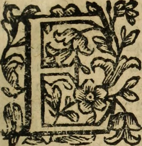 An illustration from Urbis patavinae inscriptiones sacrae, et prophanae ..., 1701, leaf 10