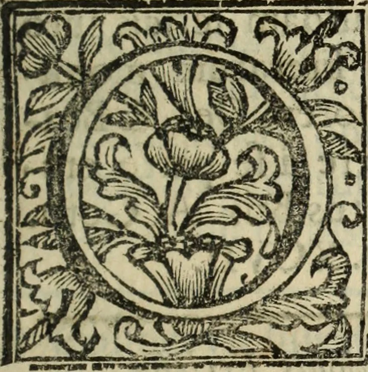 An illustration from Urbis patavinae inscriptiones sacrae, et prophanae ..., 1701, leaf 176