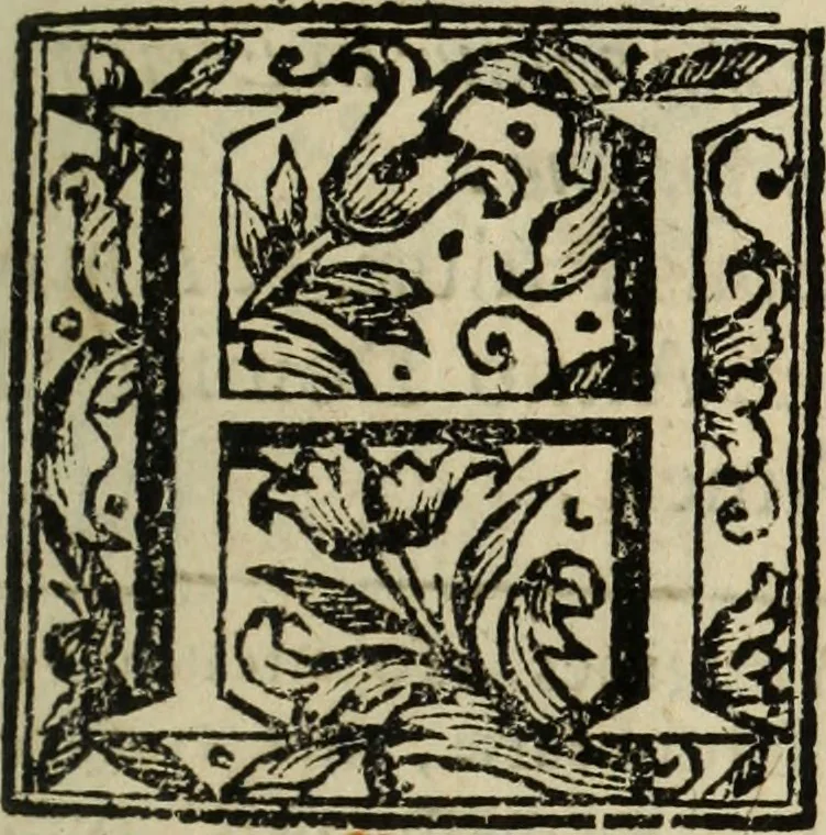 An illustration from Urbis patavinae inscriptiones sacrae, et prophanae ..., 1701, leaf 20