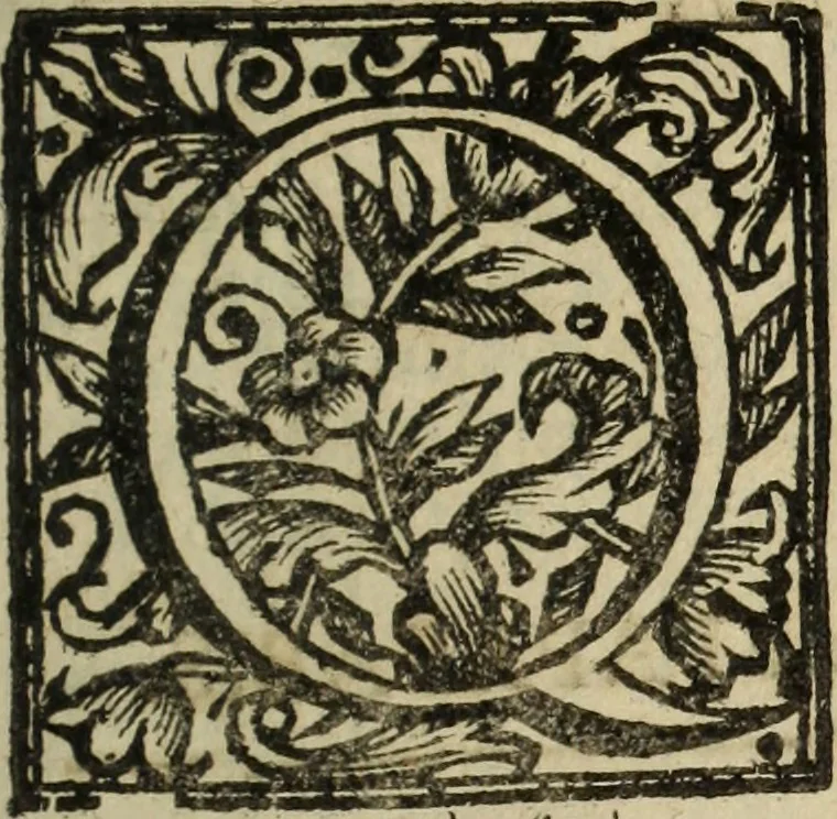 An illustration from Urbis patavinae inscriptiones sacrae, et prophanae ..., 1701, leaf 328