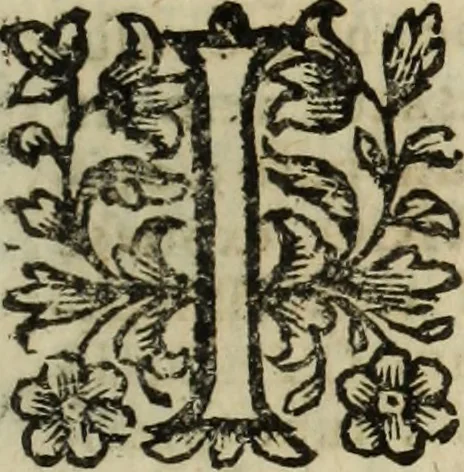 An illustration from Urbis patavinae inscriptiones sacrae, et prophanae ..., 1701, leaf 594