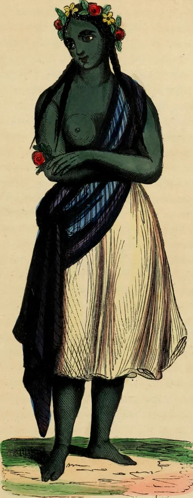 An illustration from Usi e costumi sociali, politici e religiosi di tutti i popoli del mondo : da documenti autentici e dai viaggi migliori e più recenti, 1844, leaf 288