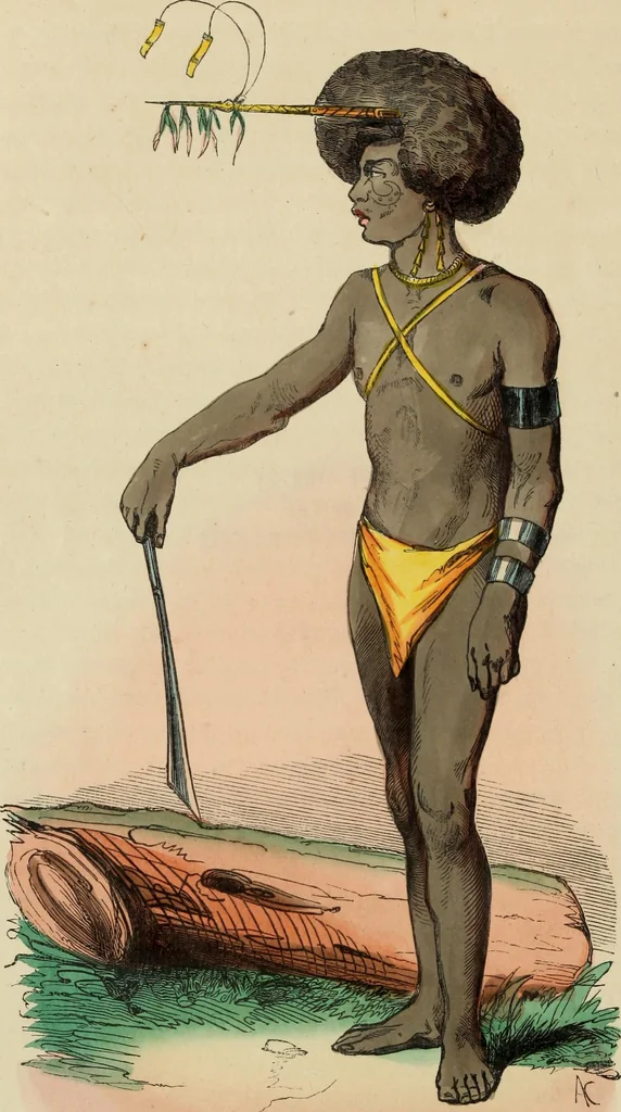 An illustration from Usi e costumi sociali, politici e religiosi di tutti i popoli del mondo : da documenti autentici e dai viaggi migliori e più recenti, 1844, leaf 447