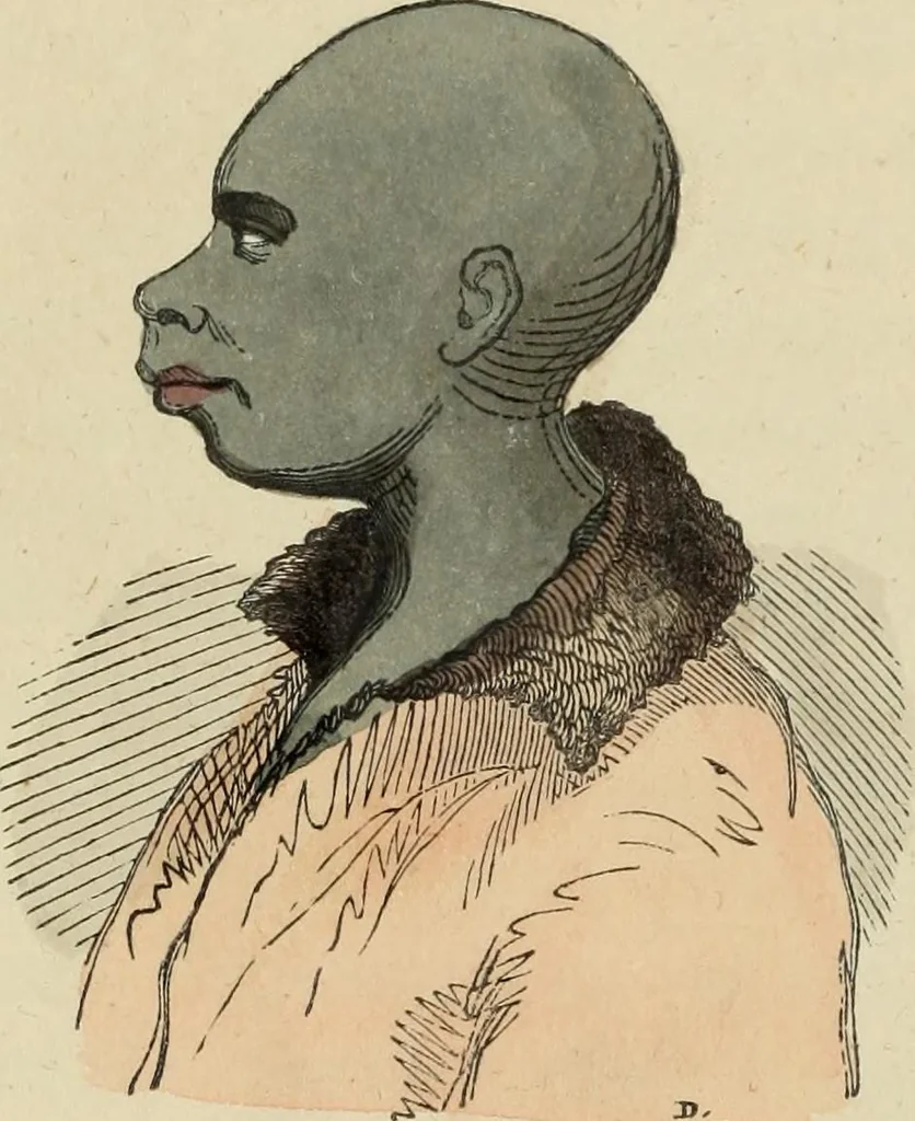 An illustration from Usi e costumi sociali, politici e religiosi di tutti i popoli del mondo : da documenti autentici e dai viaggi migliori e più recenti, 1844, leaf 473
