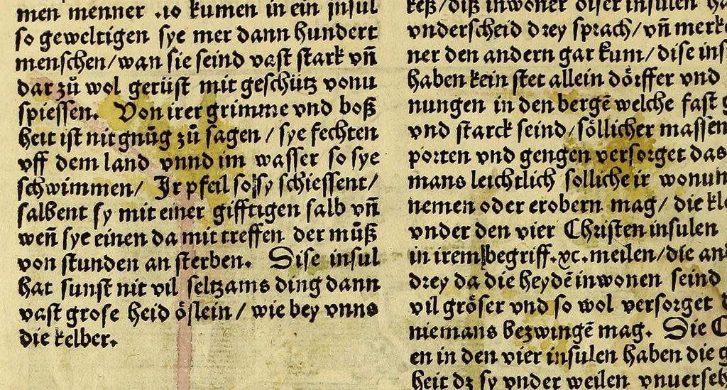 An illustration from Uslegung der Mercarthen oder Cartha marina : darin man sehen mag, wa einer in der Welt sey, vnd wa ein ietlich Land, Wasser vnd Stat gelege[n] ist. Das als in de[m] Büchlin zefinde[n], 1525, leaf 38