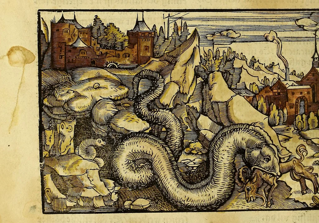 An illustration from Uslegung der Mercarthen oder Cartha marina : darin man sehen mag, wa einer in der Welt sey, vnd wa ein ietlich Land, Wasser vnd Stat gelege[n] ist. Das als in de[m] Büchlin zefinde[n], 1525, leaf 60