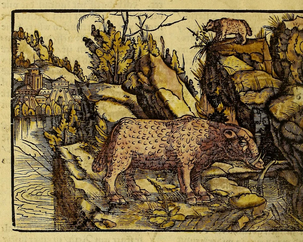 An illustration from Uslegung der Mercarthen oder Cartha marina : darin man sehen mag, wa einer in der Welt sey, vnd wa ein ietlich Land, Wasser vnd Stat gelege[n] ist. Das als in de[m] Büchlin zefinde[n], 1525, leaf 68