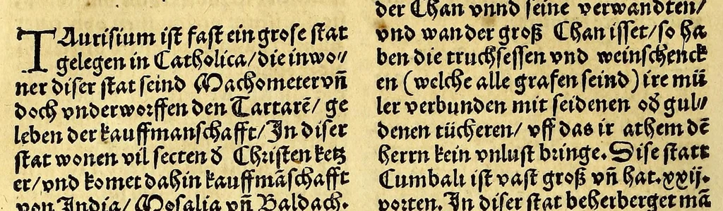 An illustration from Uslegung der Mercarthen oder Cartha marina : darin man sehen mag, wo einer in der wellt sey, vnd wo ein yetlich Landt, Wasser, vnd Stadt gelegen ist. Das alles in dem Büchlin zůfinden, 1527, leaf 54