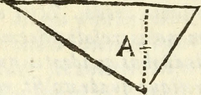 An illustration from Usus et Fabrica Circini Cuiusdam Proportionis, 1655, leaf 47