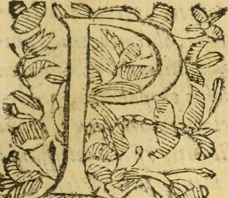 An illustration from Usus et Fabrica Circini Cuiusdam Proportionis, 1655, leaf 6