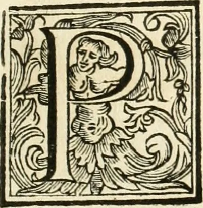 An illustration from Utilissimo trattato dell'acque correnti : diviso in tre libri : nel quale si notificano le misure, ed esperienze di esse : i giuochi, e scherzi, li quali per mezzo dell'aria, e del fuoco, vengono operati dall'acqua : con diversi necessarii ammaestramenti intorno al modo di far condotti, fistole, bottini, ed altro, per condurre l'acque ne' luoghi destinati : con una esatta notizia di tutto quello, ch'è stato operato intorno alla conduttura dell' acqua di Bracciano, 1696, leaf 160