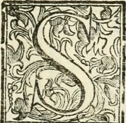 An illustration from Utilissimo trattato dell'acque correnti : diviso in tre libri : nel quale si notificano le misure, ed esperienze di esse : i giuochi, e scherzi, li quali per mezzo dell'aria, e del fuoco, vengono operati dall'acqua : con diversi necessarii ammaestramenti intorno al modo di far condotti, fistole, bottini, ed altro, per condurre l'acque ne' luoghi destinati : con una esatta notizia di tutto quello, ch'è stato operato intorno alla conduttura dell' acqua di Bracciano, 1696, leaf 188