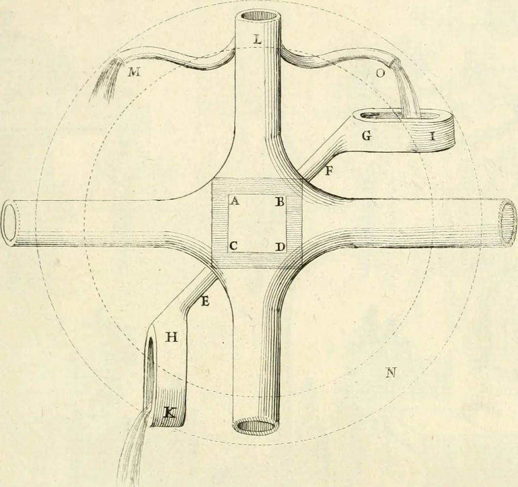 An illustration from Utilissimo trattato dell'acque correnti : diviso in tre libri : nel quale si notificano le misure, ed esperienze di esse : i giuochi, e scherzi, li quali per mezzo dell'aria, e del fuoco, vengono operati dall'acqua : con diversi necessarii ammaestramenti intorno al modo di far condotti, fistole, bottini, ed altro, per condurre l'acque ne' luoghi destinati : con una esatta notizia di tutto quello, ch'è stato operato intorno alla conduttura dell' acqua di Bracciano, 1696, leaf 190