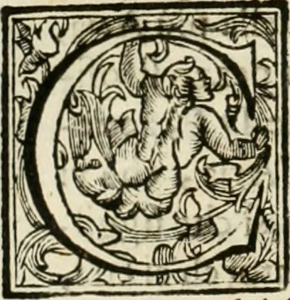 An illustration from Utilissimo trattato dell'acque correnti : diviso in tre libri : nel quale si notificano le misure, ed esperienze di esse : i giuochi, e scherzi, li quali per mezzo dell'aria, e del fuoco, vengono operati dall'acqua : con diversi necessarii ammaestramenti intorno al modo di far condotti, fistole, bottini, ed altro, per condurre l'acque ne' luoghi destinati : con una esatta notizia di tutto quello, ch'è stato operato intorno alla conduttura dell' acqua di Bracciano, 1696, leaf 197