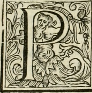 An illustration from Utilissimo trattato dell'acque correnti : diviso in tre libri : nel quale si notificano le misure, ed esperienze di esse : i giuochi, e scherzi, li quali per mezzo dell'aria, e del fuoco, vengono operati dall'acqua : con diversi necessarii ammaestramenti intorno al modo di far condotti, fistole, bottini, ed altro, per condurre l'acque ne' luoghi destinati : con una esatta notizia di tutto quello, ch'è stato operato intorno alla conduttura dell' acqua di Bracciano, 1696, leaf 205