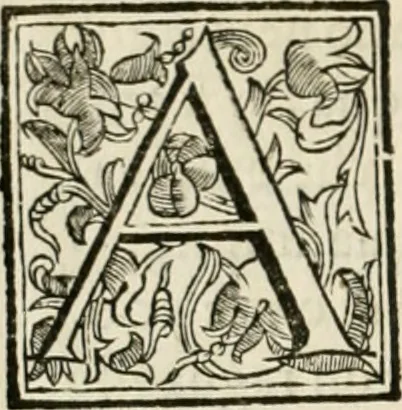 An illustration from Utilissimo trattato dell'acque correnti : diviso in tre libri : nel quale si notificano le misure, ed esperienze di esse : i giuochi, e scherzi, li quali per mezzo dell'aria, e del fuoco, vengono operati dall'acqua : con diversi necessarii ammaestramenti intorno al modo di far condotti, fistole, bottini, ed altro, per condurre l'acque ne' luoghi destinati : con una esatta notizia di tutto quello, ch'è stato operato intorno alla conduttura dell' acqua di Bracciano, 1696, leaf 207