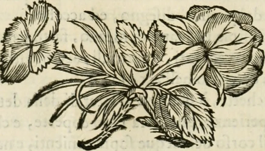 An illustration from Utilissimo trattato dell'acque correnti : diviso in tre libri : nel quale si notificano le misure, ed esperienze di esse : i giuochi, e scherzi, li quali per mezzo dell'aria, e del fuoco, vengono operati dall'acqua : con diversi necessarii ammaestramenti intorno al modo di far condotti, fistole, bottini, ed altro, per condurre l'acque ne' luoghi destinati : con una esatta notizia di tutto quello, ch'è stato operato intorno alla conduttura dell' acqua di Bracciano, 1696, leaf 213