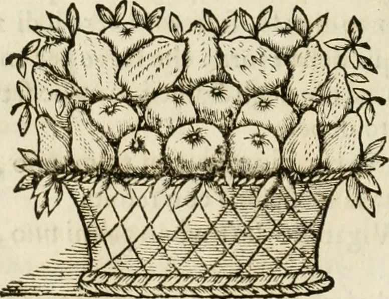 An illustration from Utilissimo trattato dell'acque correnti : diviso in tre libri : nel quale si notificano le misure, ed esperienze di esse : i giuochi, e scherzi, li quali per mezzo dell'aria, e del fuoco, vengono operati dall'acqua : con diversi necessarii ammaestramenti intorno al modo di far condotti, fistole, bottini, ed altro, per condurre l'acque ne' luoghi destinati : con una esatta notizia di tutto quello, ch'è stato operato intorno alla conduttura dell' acqua di Bracciano, 1696, leaf 221