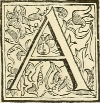 An illustration from Utilissimo trattato dell'acque correnti : diviso in tre libri : nel quale si notificano le misure, ed esperienze di esse : i giuochi, e scherzi, li quali per mezzo dell'aria, e del fuoco, vengono operati dall'acqua : con diversi necessarii ammaestramenti intorno al modo di far condotti, fistole, bottini, ed altro, per condurre l'acque ne' luoghi destinati : con una esatta notizia di tutto quello, ch'è stato operato intorno alla conduttura dell' acqua di Bracciano, 1696, leaf 30