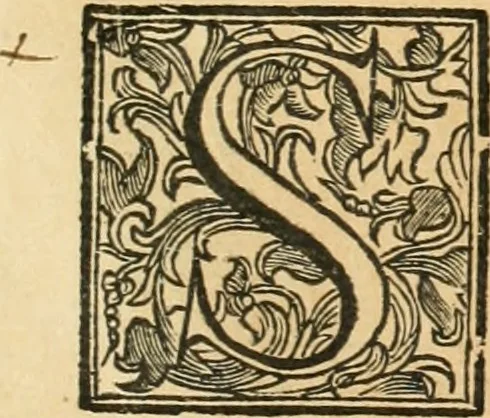 An illustration from Utilissimo trattato dell'acque correnti : diviso in tre libri : nel quale si notificano le misure, ed esperienze di esse : i giuochi, e scherzi, li quali per mezzo dell'aria, e del fuoco, vengono operati dall'acqua : con diversi necessarii ammaestramenti intorno al modo di far condotti, fistole, bottini, ed altro, per condurre l'acque ne' luoghi destinati : con una esatta notizia di tutto quello, ch'è stato operato intorno alla conduttura dell' acqua di Bracciano, 1696, leaf 36