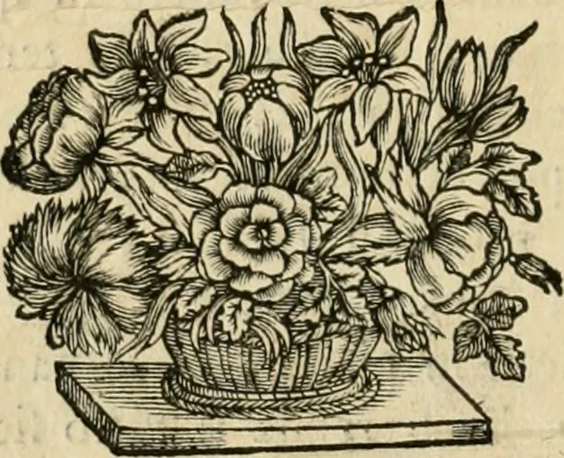 An illustration from Utilissimo trattato dell'acque correnti : diviso in tre libri : nel quale si notificano le misure, ed esperienze di esse : i giuochi, e scherzi, li quali per mezzo dell'aria, e del fuoco, vengono operati dall'acqua : con diversi necessarii ammaestramenti intorno al modo di far condotti, fistole, bottini, ed altro, per condurre l'acque ne' luoghi destinati : con una esatta notizia di tutto quello, ch'è stato operato intorno alla conduttura dell' acqua di Bracciano, 1696, leaf 41