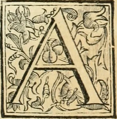 An illustration from Utilissimo trattato dell'acque correnti : diviso in tre libri : nel quale si notificano le misure, ed esperienze di esse : i giuochi, e scherzi, li quali per mezzo dell'aria, e del fuoco, vengono operati dall'acqua : con diversi necessarii ammaestramenti intorno al modo di far condotti, fistole, bottini, ed altro, per condurre l'acque ne' luoghi destinati : con una esatta notizia di tutto quello, ch'è stato operato intorno alla conduttura dell' acqua di Bracciano, 1696, leaf 42