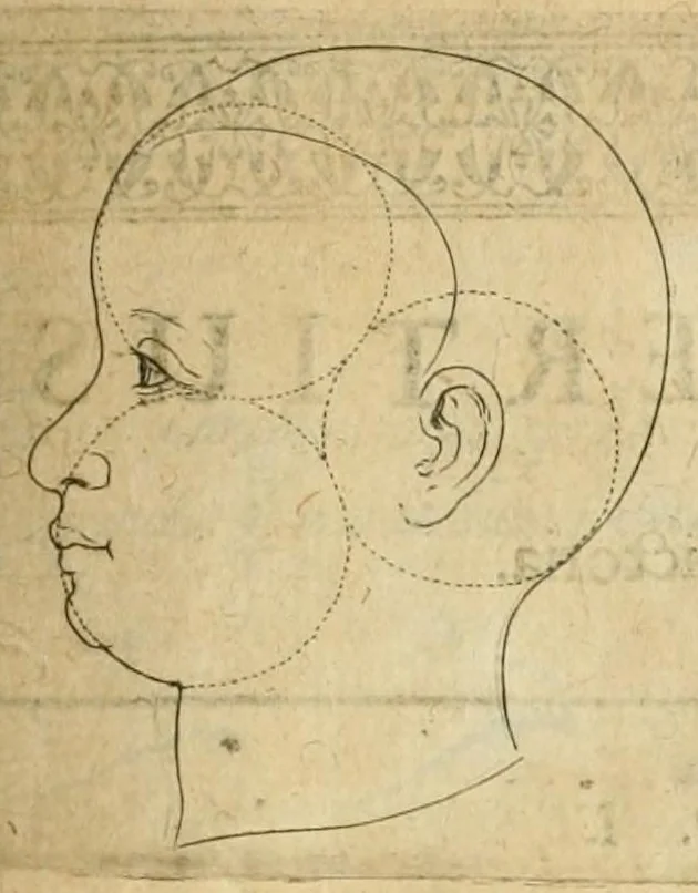An illustration from Utriusque cosmi maioris scilicet et minoris metaphysica, physica atque technica historia : in duo volumnina secundum cosmi differentiam diuisa, 1617, leaf 559