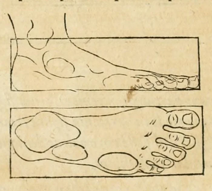 An illustration from Utriusque cosmi maioris scilicet et minoris metaphysica, physica atque technica historia : in duo volumnina secundum cosmi differentiam diuisa, 1617, leaf 120