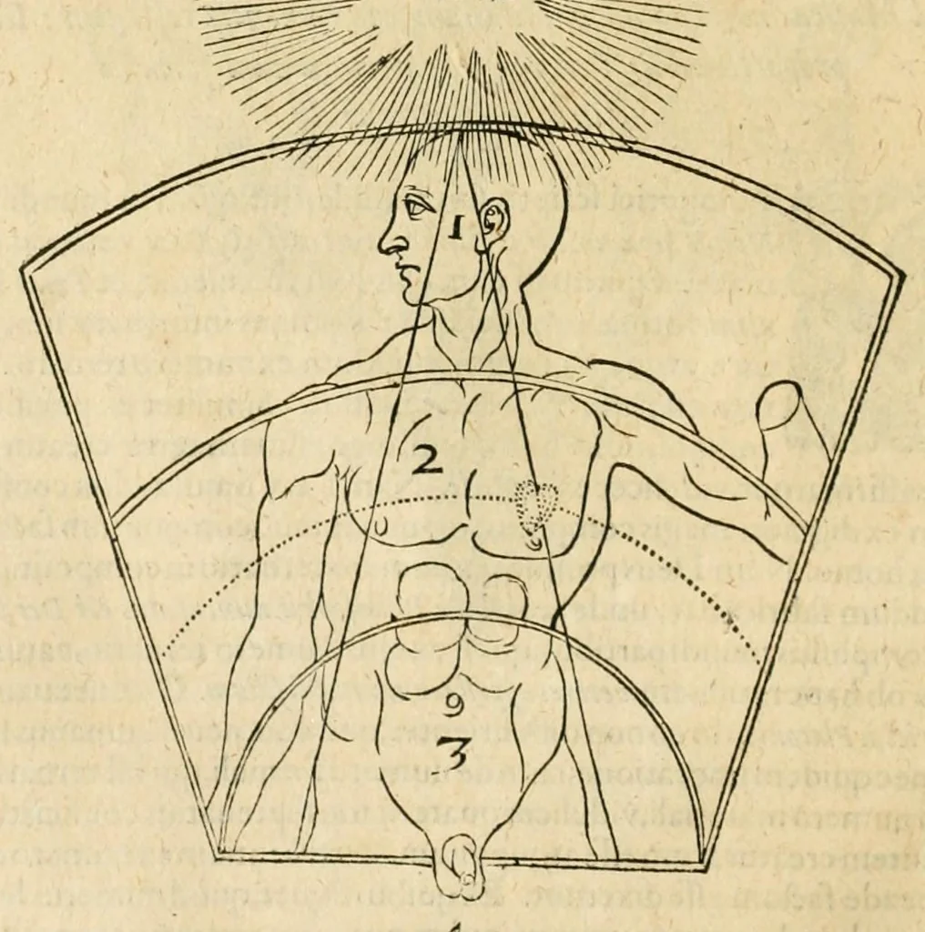 An illustration from Utriusque cosmi maioris scilicet et minoris metaphysica, physica atque technica historia : in duo volumnina secundum cosmi differentiam diuisa, 1617, leaf 246