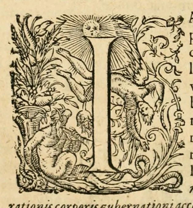 An illustration from Utriusque cosmi maioris scilicet et minoris metaphysica, physica atque technica historia : in duo volumnina secundum cosmi differentiam diuisa, 1617, leaf 270
