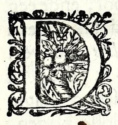 An illustration from Uyt-heemsen oorlog, ofte, Roomse min-triomfen, 1651, leaf 217