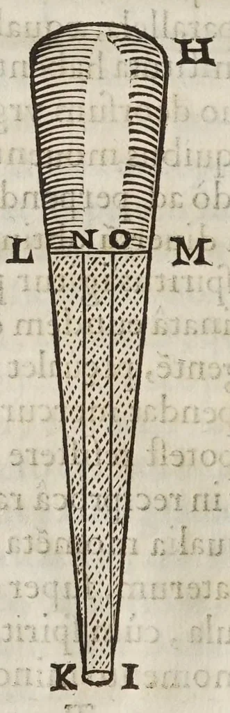 An illustration from Vacvvm proscriptvm : dispvtatio physica, 1649, leaf 152