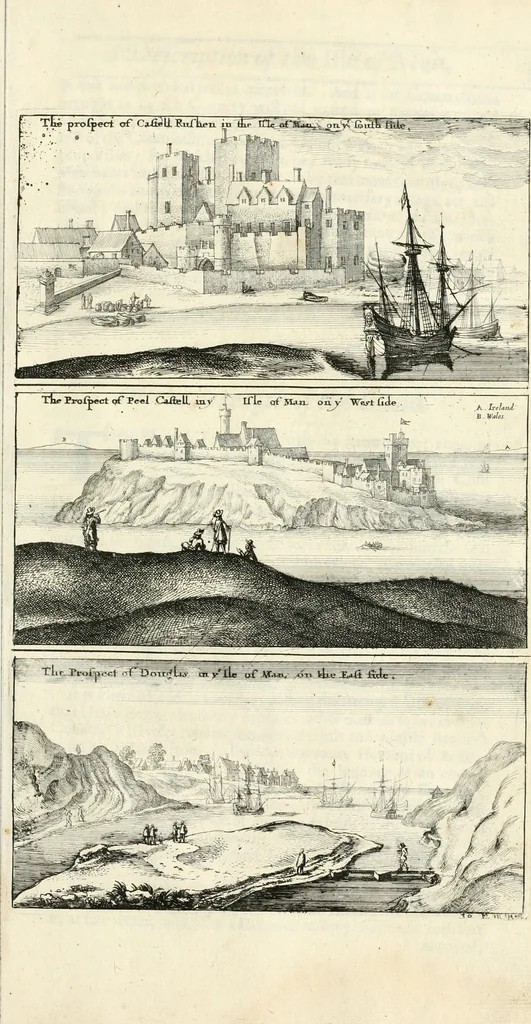 An illustration from The vale-royall of England, or, The county palatine of Chester illustrated : wherein is contained a geographical and historical description of that famous county, with all its hundreds and seats of the nobility, gentry, and freeholders, its rivers, towns, castles, buildings ancient and modern : adorned with maps and prospects, and the coats of arms belonging to every individual family of the whole county, 1656, leaf 500