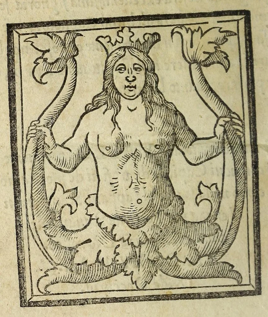 An illustration from Vallo : libro cõtinente appertenentie ad capitanii, retenere & fortificare una citta cõ bastioni, con noui artificii de fuoco aggionti, come nella tabola appare, & de diverse sorte poluere, et de expugnare una citta cõ põti, scale, argani, trõbe, trẽciere, artegliarie, caue, dare auisamenti senza messo allo amico, fare ordinanze, battaglioni, et ponti de disfida con lo pingere, opera molto utile con la experientia de larte, 1528, leaf 162